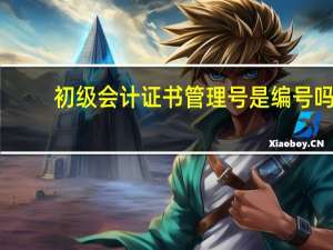 初级会计证书管理号是编号吗