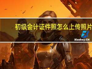 初级会计证件照怎么上传照片