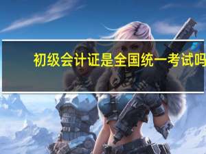 初级会计证是全国统一考试吗