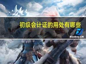 初级会计证的用处有哪些