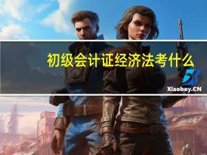 初级会计证经济法考什么