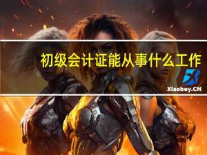 初级会计证能从事什么工作