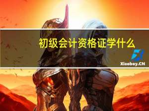 初级会计资格证学什么