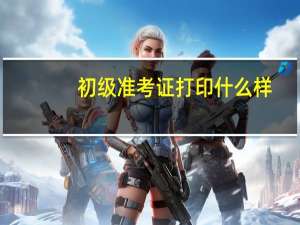 初级准考证打印什么样