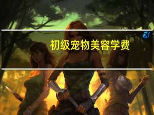 初级宠物美容学费