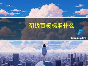 初级审核标准什么