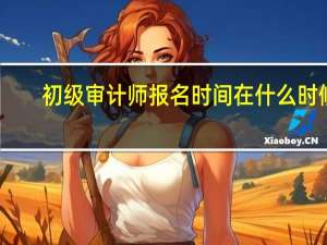 初级审计师报名时间在什么时候