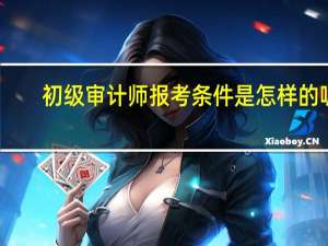 初级审计师报考条件是怎样的呢