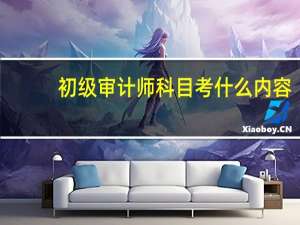 初级审计师科目考什么内容