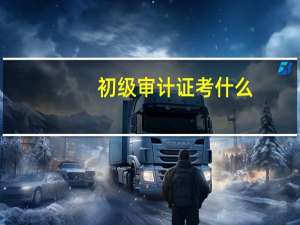 初级审计证考什么