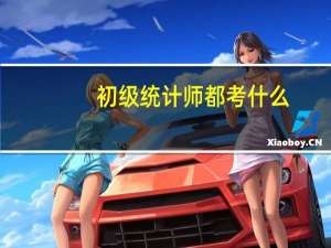 初级统计师都考什么
