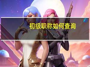 初级职称如何查询