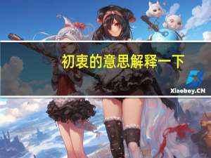 初衷的意思解释一下（初衷的意思）