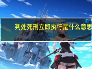 判处死刑立即执行是什么意思