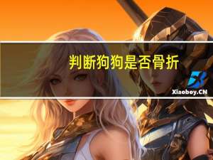 判断狗狗是否骨折