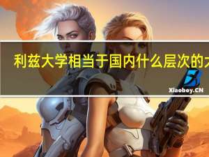利兹大学相当于国内什么层次的大学