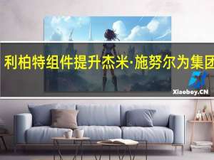利柏特组件提升杰米·施努尔为集团总裁-售后市场