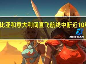利比亚和意大利间直飞航线中断近10年后复航