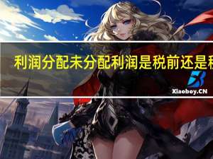 利润分配未分配利润是税前还是税后（利润分配未分配利润）