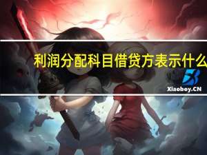 利润分配科目借贷方表示什么（利润分配借贷方分别是什么）