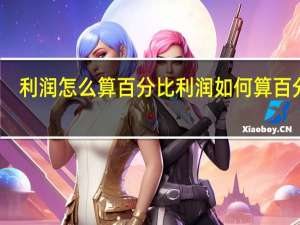 利润怎么算百分比利润如何算百分比