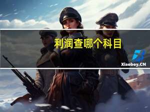 利润查哪个科目