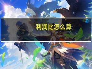 利润比怎么算