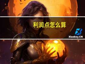 利润点怎么算