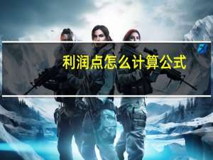 利润点怎么计算公式