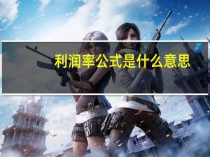 利润率公式是什么意思