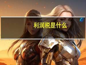 利润税是什么