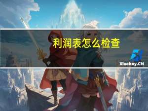利润表怎么检查