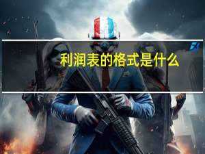 利润表的格式是什么