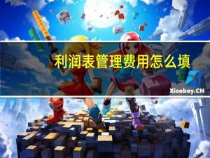 利润表管理费用怎么填