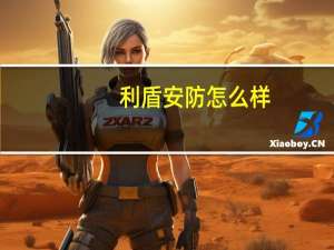 利盾安防怎么样