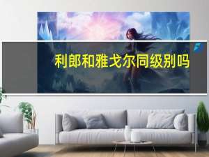 利郎和雅戈尔同级别吗