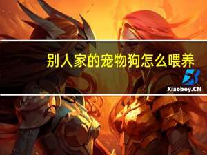 别人家的宠物狗怎么喂养