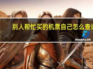 别人帮忙买的机票自己怎么查询