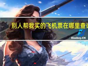 别人帮我买的飞机票在哪里查询