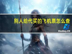 别人给代买的飞机票怎么查