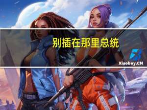 别插在那里总统
