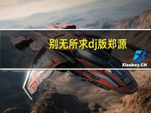 别无所求dj版郑源（别无所求的意思）