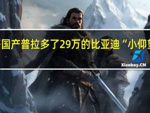 别等国产普拉多了 29万的比亚迪“小仰望”了解下