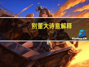 别董大诗意解释（别董大诗意）