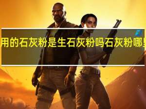 刮墙用的石灰粉是生石灰粉吗 石灰粉哪里可以买到