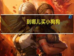 到哪儿买小狗狗