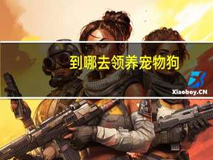 到哪去领养宠物狗