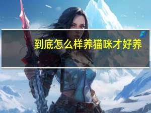到底怎么样养猫咪才好养