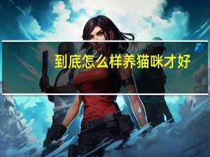 到底怎么样养猫咪才好