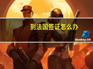 到法国签证怎么办